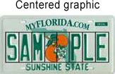 Centered graphic. Photograph of a sample Florida license plate with a graphic design in the center of the plate. Plate number is the word Sample. The letters Sam are to the left of the graphic design, and the letters Ple are to the right of the graphic design.